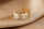 Offener Lorbeerkranz Ring mit Zirkonia Gold One Size