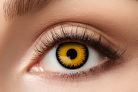 Löwe Kontaktlinsen. Orange Motivlinsen.